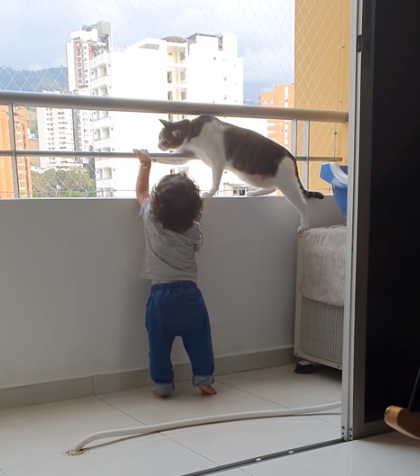gato alejando a un niño de la baranda de un balcón