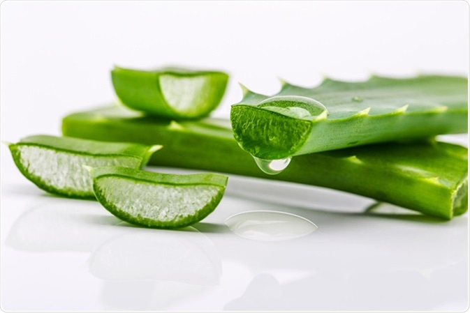 aloe vera o sábila para verrugas