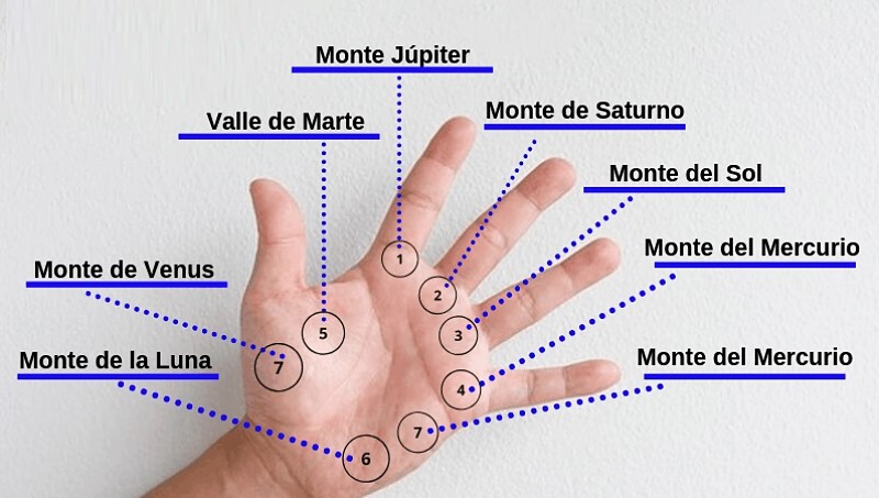 montes en la lectura de la mano