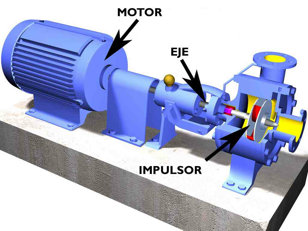 Partes de una bomba de agua