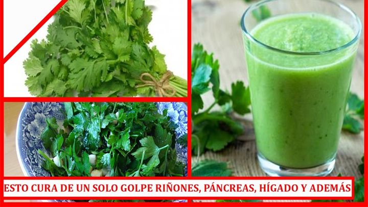 Beneficios que se obtiene con el cilantro