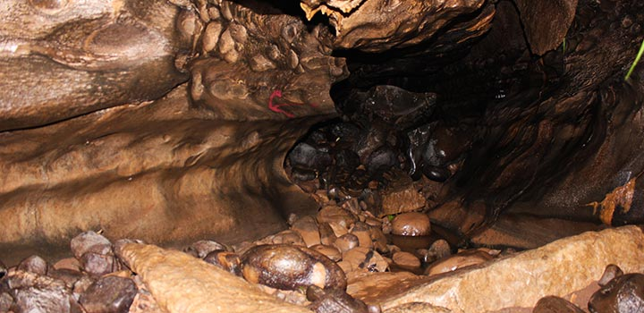 Se hace un documental acerca de esta peculiar cueva 